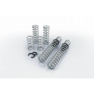 Eibach Pro-UTV Stage 2 Springs (2019) Polaris RZR XP 4 Turbo S