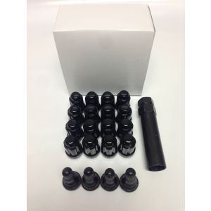 RuggedPRO Black Lug Kit & Valve Stems - 1/2